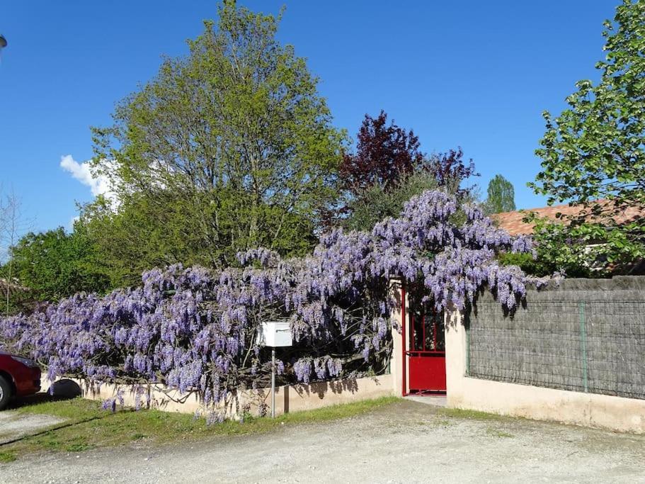 Logement Sympa Entree Independante Pres Bordeaux 10Kms Tresses Dış mekan fotoğraf